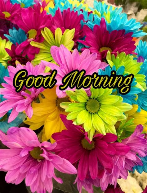 Good Morning Images With Flowers Hd New Good Morning Flowers