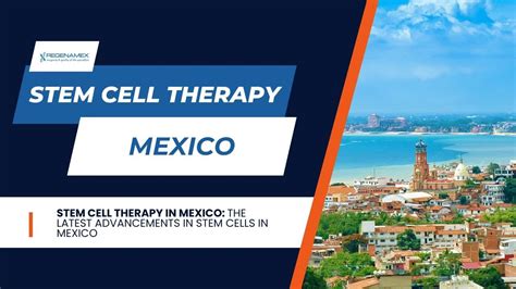 Discover Stem Cell Therapy In Mexico Official Guide To Stem Cells