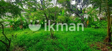 Land For Sale Maharagama Ikman