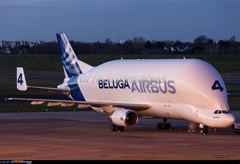 Airbus Beluga - Large Preview - AirTeamImages.com