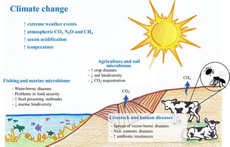 Microorganisms And Climate Change Encyclopedia Mdpi