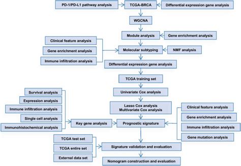 Pd Pd L Discover Oncology X Mol