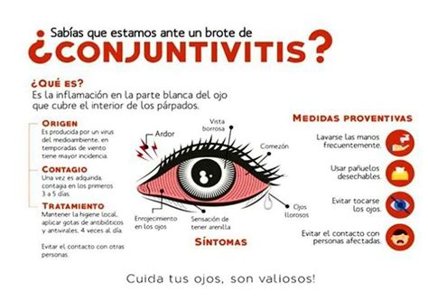 Lo Que Debes Saber De La Conjuntivitis Alcance Informativo