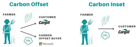 Carbon Insetting The Target Of Scope Carbon Offset Accounting