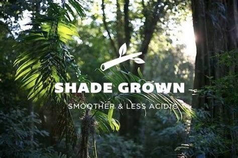 Why Shade Grown Coffee? – BuzzBox Coffee