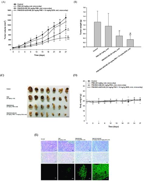 In Vivo Tumor Growth Inhibition Efficacy In A Tumor Bearing Mice