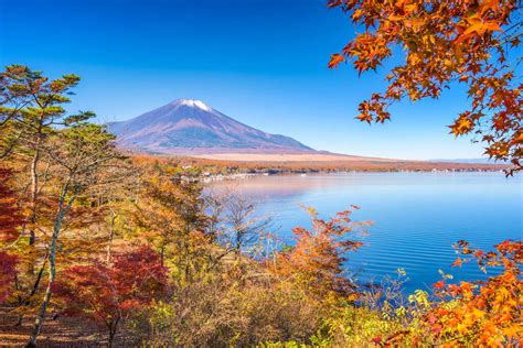 富士山周辺の紅葉のスポット・記事 フジヤマnavi