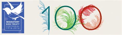 Migratory Bird Treaty Act Centennial – Columbus Audubon