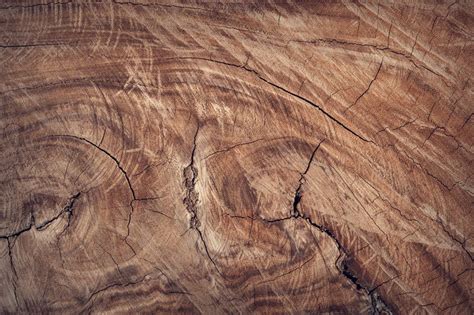 What Is A Live Edge Burl Wood Slab And What Are Its Common Uses