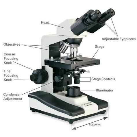 Scitech Microscope Optics at best price in Mumbai | ID: 4938092097