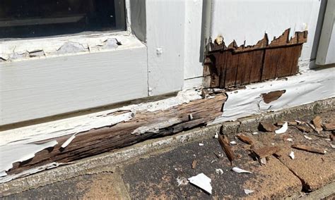 Rotten Wooden Window Frames Why It Happens And How To Fix It