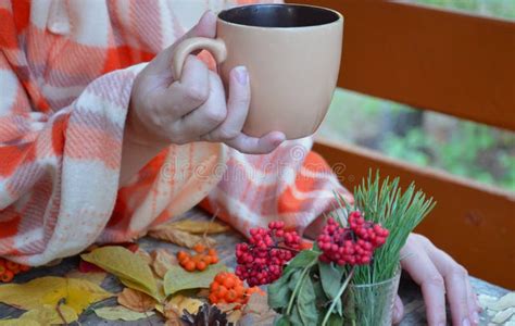 Women S Hands Hold A Cup Of Hot Drink Autumn Fall Leaves Hot