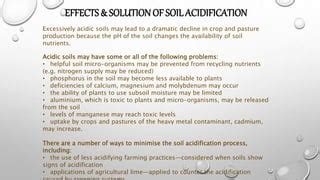 Presentation On - Soil Pollution, Soil Solidification, Soil ...