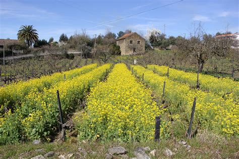 Seasons In Portugal Weather And Climate