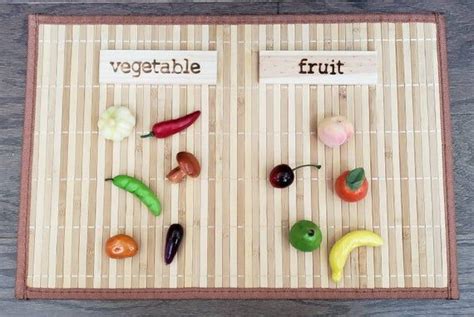 Fruitvegetable Sorting Set Montessori Object Classification T For