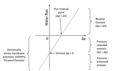 Forward osmosis - Wikiwand