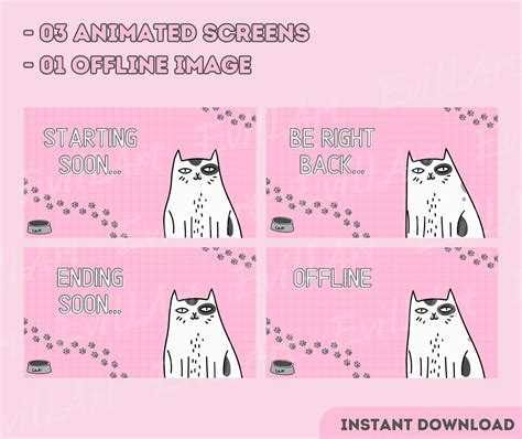 Animated Screens Turning Cat Pink Twitch Youtube Overlays Brbs Starting