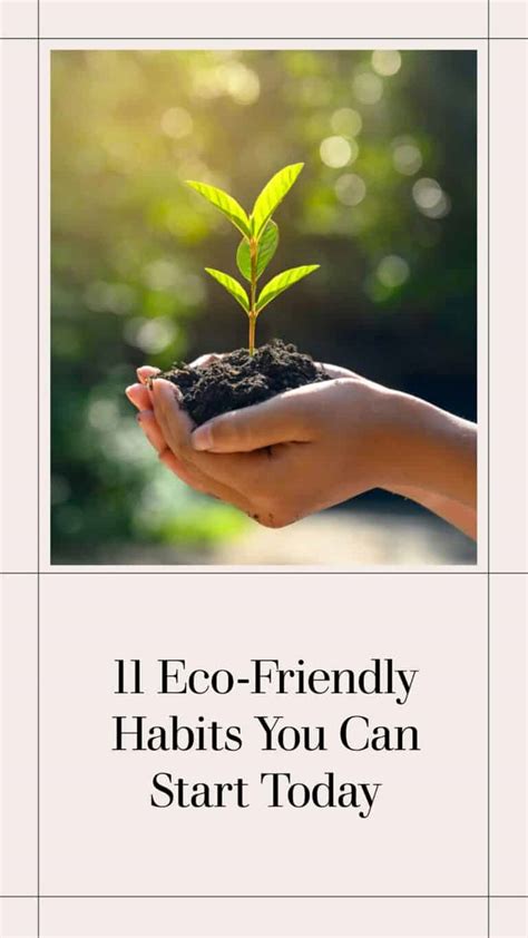 11 Eco-Friendly Habits You Can Start Today - Sustainable Wave 