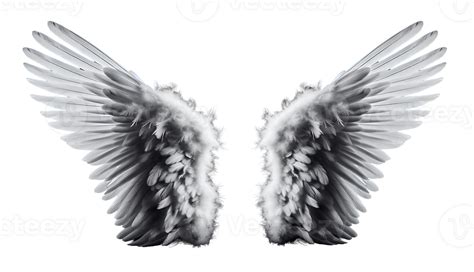 White angel wings. 43371469 PNG