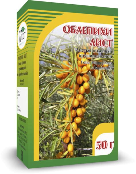 Компания ХОРСТ - ОБЛЕПИХА, лист