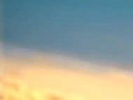 Sonal Chauhan Nude Pics Page