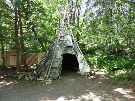 Wigwam Shelter First Nations Traditional Dwelling Aboriginal