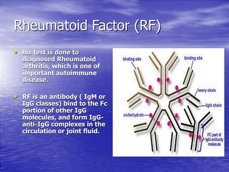 Ppt Detection Of Rheumatoid Factor By Using Latexagglutination