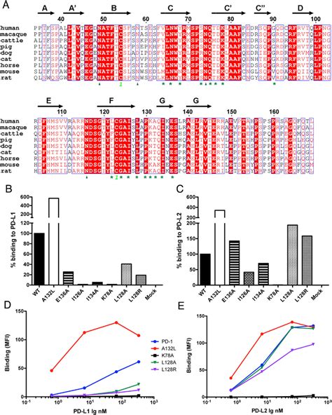 Mapping The Ligand Binding Surface Of Human Pd By Site Directed