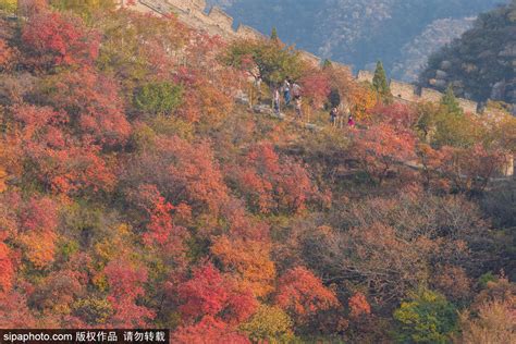 京城秋日红叶节，不可错过的“童话盛景”