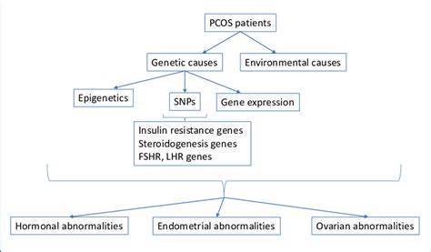 Flowchart Diagram Of Causes Of Polycystic Ovary Syndrome Download Scientific Diagram