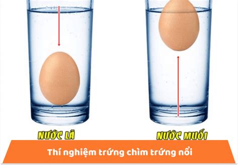 Chơi gì cùng con trong kì nghỉ dịch nghỉ hè phần 1