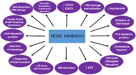 Figure From Histone Deacetylase Inhibitor Hdaci Mechanisms Of