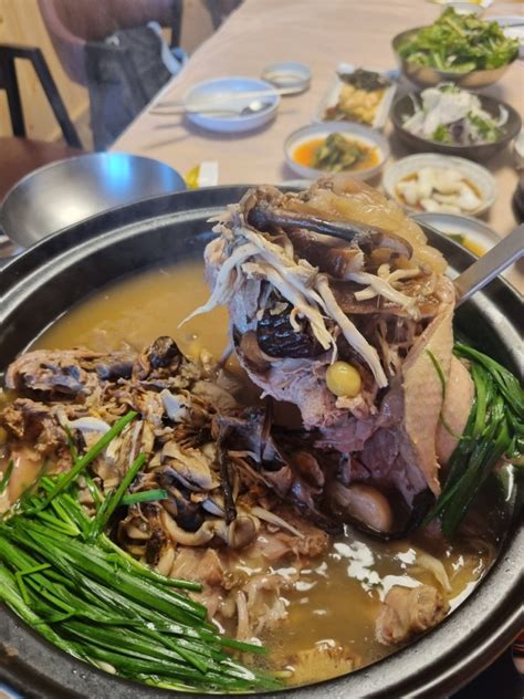 대구 동명 강원오리 동명 오리백숙맛집 팔공산 오리백숙맛집 대구맛집 네이버 블로그