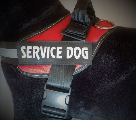 Service Dog Vests – Service Dog Direct