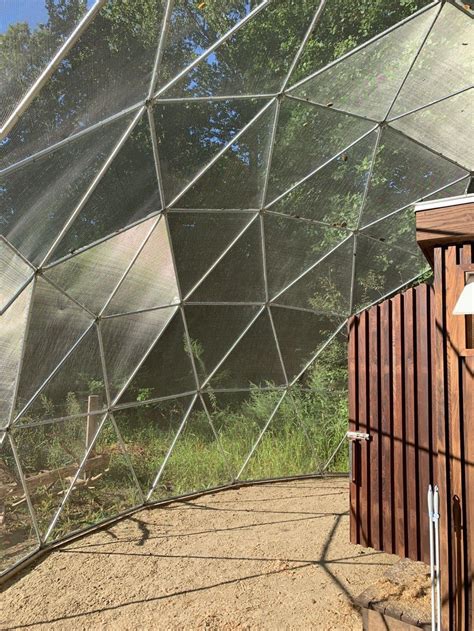 These Geodesic Domes Keep Your Chickens Safe With Plenty Of Room To Run