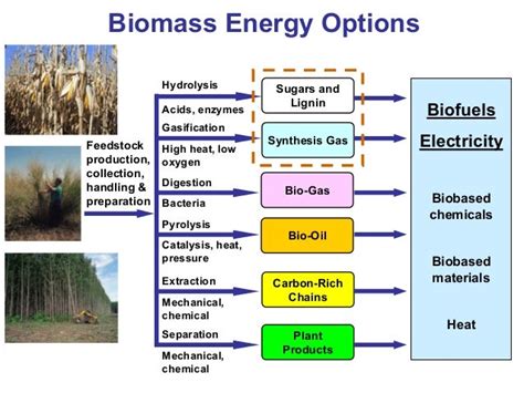 Biotechnological Routes To Biomass Conversion