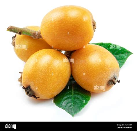 Loquats Fruits With Green Leaves Isolated On White Background Stock