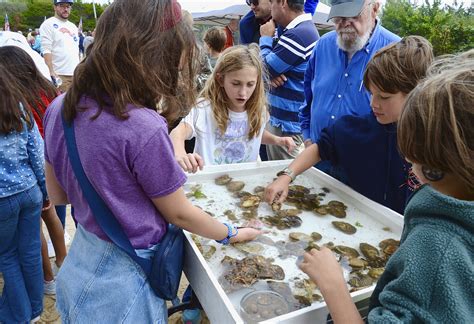 East Hampton Trustees Crown Largest Clam East