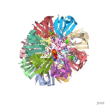 Sm Like Protein Proteopedia Life In 3D