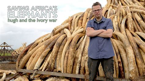 Saving Africa S Elephants Hugh And The Ivory War 2016 Plex