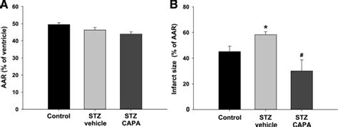 Effects Of Capa Treatment On Infarct Size In Diabetic Rats After I R