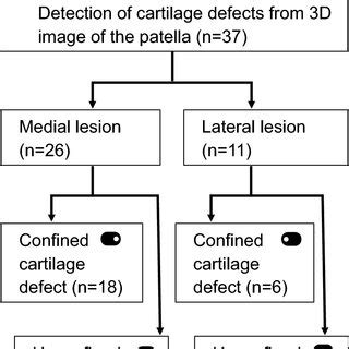 Number Of Patella Cartilage Defects From 3D MRI The Kanagawa Knee