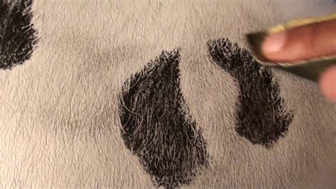 Tutorial 11 Drawing Leopard Spots Youtube