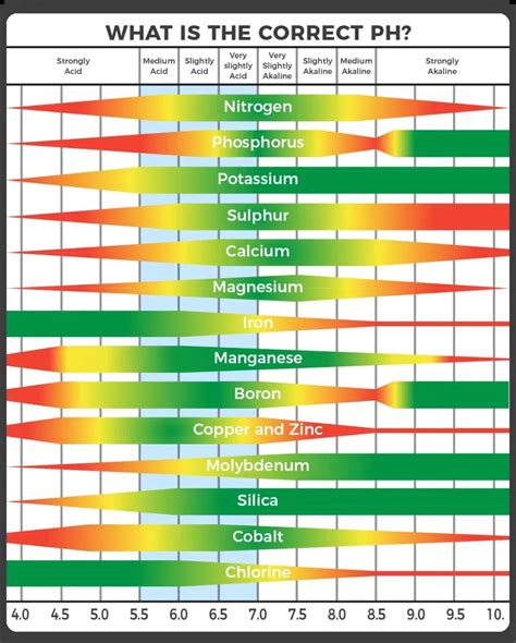 How To Adjust The Ph Value Of Your Water And Grow Medium