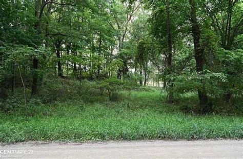 67 89 Acres Of Land For Sale In Morrice Michigan Landsearch