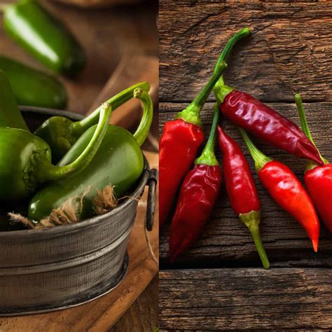 Different Pepper Types: Chili vs Jalapeno Peppers