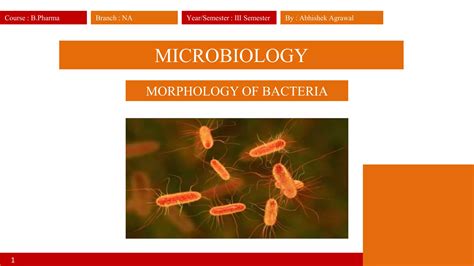 Morphology of bacteria | PPT