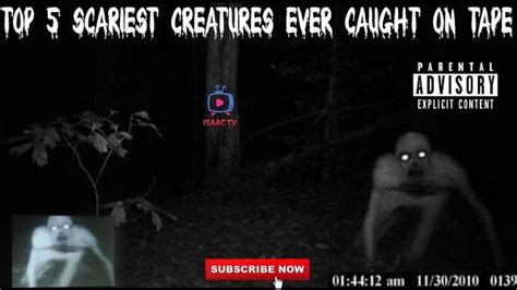 Top Scariest Creatures Ever Caught On Tape Scary Ghost Caught On