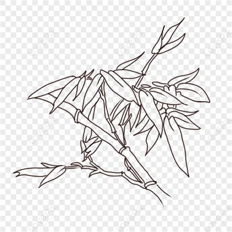 Bamboo Line Drawing, Line White, Line Vector, Bamboo Leaves PNG Image ...