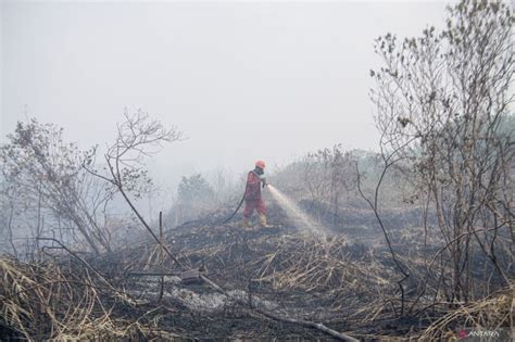 Jambi Terdampak Asap Kebakaran Hutan Dan Lahan Di Sumatera Selatan